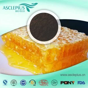 Добављач праха екстракта пчелињег прополиса на велико